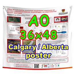 Calgary Poster - Cheapest Fabric & Paper Poster Printing A0 (33x47) from $70