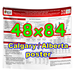 Calgary Poster - Cheapest Fabric & Paper Poster Printing 48x84 from $150