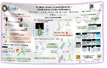 Calgary Fabric Poster - Excellent Print Quality with Excellent Graphs & Charts Calgary Fabric Poster - Excellent Print Quality with Excellent Graphs & Charts